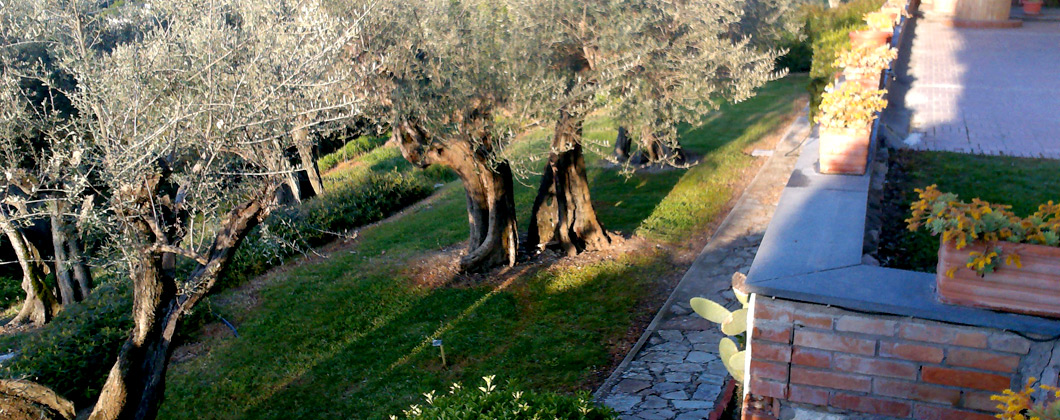 Resinza Le Mura Appartamenti vacanze Castiglione del Lago - Lago Trasimeno
